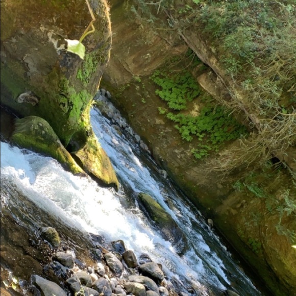 Profile Picture of Manny Ruiz (@manny904) on Poshmark