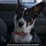 Profile Picture of Marcy Helmeczi (@marcyhelmeczi) on Instagram