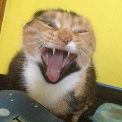 Profile Picture of Jesse Belyea (@Gamerfreak89) on Twitter