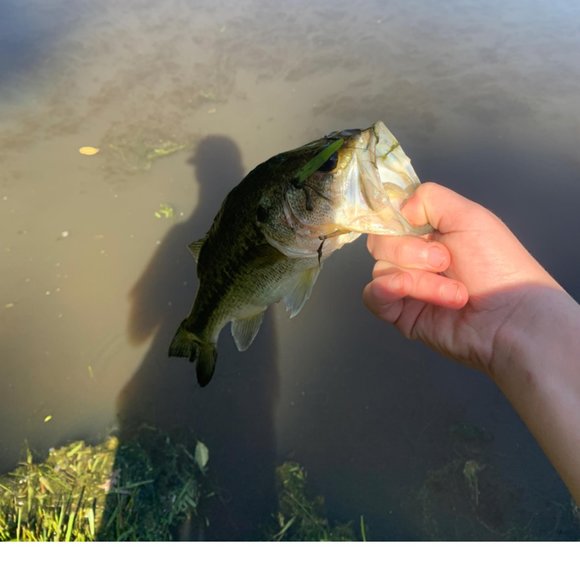 Profile Picture of Grayson Beene (@graysonbeene) on Poshmark