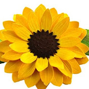 Profile Picture of Perling Ballat (@perlingballat3397) on Youtube