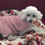 Profile Picture of Dawn Thomas (@dmpumphrey) on Flickr