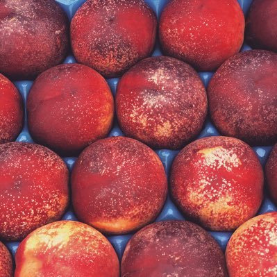 Profile Picture of Le Jardin D’Ethan (@JardinEthan) on Twitter