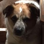 Profile Picture of David Ordway (@dordway1) on Instagram