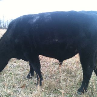 Profile Picture of Glenn Hester (@glenn.hester.71) on Facebook