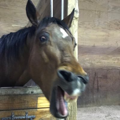 Amy Reiner - Twitter Profile Picture of Amy Reiner (@AmyReiner6) on Twitter