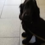 Profile Picture of Sophie Georgios Eliadis (@sophie.georgioseliadis) on Facebook