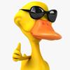 Profile Picture of jorge albino (@@o.pato.faz.quack) on Tiktok