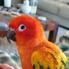 Profile Picture of Kelli Blair Swan (@@kelliswan) on Tiktok