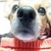 Profile Picture of Buddy Howe (@buddy.howe.391) on Facebook
