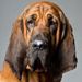Profile Picture of Gimmles (@karlbusby) on Pinterest