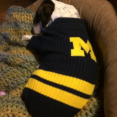 Stephanie Walkup - Twitter Profile Picture of Stephanie Walkup (@WalkupStephanie) on Twitter