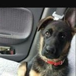 Profile Picture of joshua (@joshuacarballosa45) on Instagram