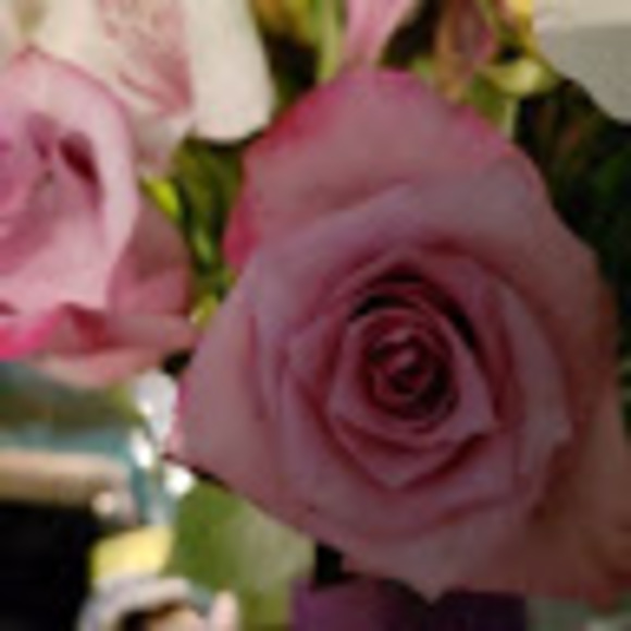 Profile Picture of Lil Winderl (@lilwinderl) on Poshmark