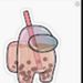 Profile Picture of Deekoda Sockyma (@deekodasockyma) on Pinterest