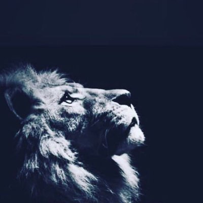 Profile Picture of That Lion Aka That Lengend (@al_khudair) on Twitter