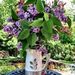 Profile Picture of Annamarie Bader (@ambader5) on Pinterest