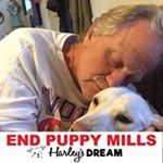 Profile Picture of Jeffrey Hosbach (@jeffreyhosbach) on Instagram