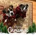 Profile Picture of Elizabeth Dannielle Fields (@elizabeth.fields.522) on Facebook