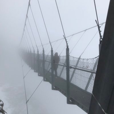 Profile Picture of Mario Monroy (@mariomonroymmty) on Twitter