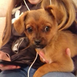 Profile Picture of harrison (@hackneyharrison) on Instagram