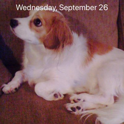 Profile Picture of Michael Pede (@pede_michael) on Twitter