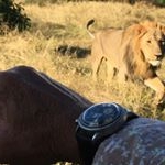 ANDREAS BENDER - Instagram Profile Picture of ANDREAS BENDER (@mrwalkabout_andreasbender) on Instagram