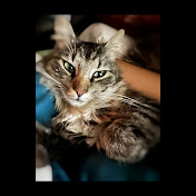 Profile Picture of Janet Ocampo (@janetocampo6933) on Youtube