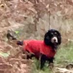 Profile Picture of Mark Batchelor (@mbatchelorservicesltd) on Instagram