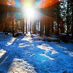 Profile Picture of alexandrebonneau92 (@alexandrebonneau92) on Tiktok