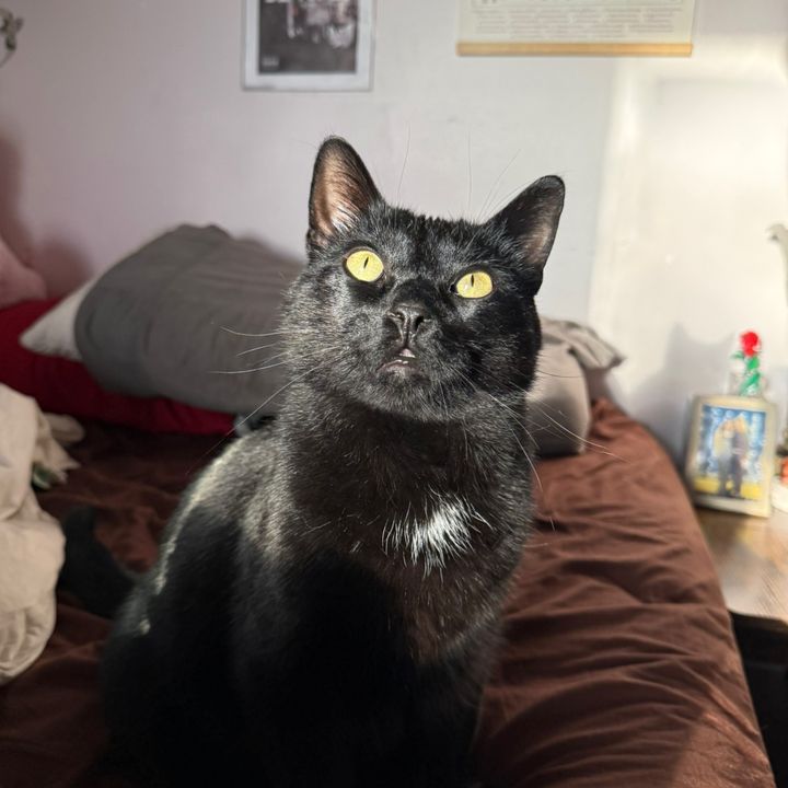Profile Picture of ⠀ ⠀ ⠀ ⠀ ⠀ ⠀ (@lul.jessexd) on Tiktok