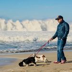 Profile Picture of Robert_Spencer (@robertspenncer) on Instagram