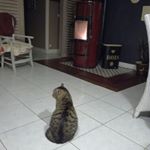 Profile Picture of Mauriçe Boyer (@maurice.boyer.739) on Instagram