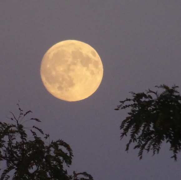 Profile Picture of Ka man Mak (@carinamak123) on Poshmark