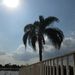Profile Picture of Cindy Atherton (@cindysue75) on Pinterest