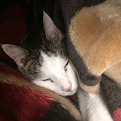 Profile Picture of Brian Landsverk (@brilandsverk) on Youtube