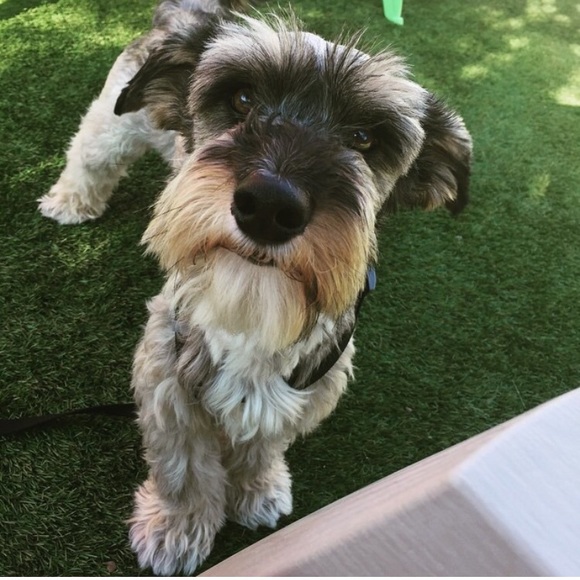 Profile Picture of Bismarck Betanco (@bbetanco) on Poshmark