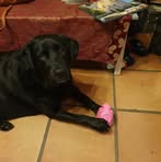 Profile Picture of Benjamin Fournié (@benjamin.fournie.3) on Facebook