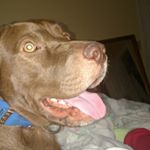 Profile Picture of Buddy Allen (@buddyallen_44) on Instagram