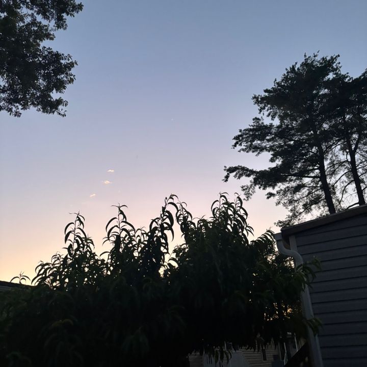 Profile Picture of 𝐥𝐲𝐧𝐞𝐭𝐭𝐞౨ৎ (@lynetterg) on Tiktok