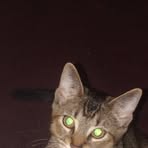 Profile Picture of Christopher Sroka (@christopher.sroka.3) on Facebook