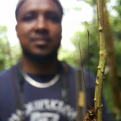 Profile Picture of Carlos Cañizares (@CarlosCaizares8) on Twitter