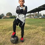 Profile Picture of damian (@damian_the_young_wall) on Instagram