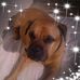 Profile Picture of Daphne Platts (@daphne.platts.14) on Facebook