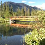 Profile Picture of Naveed Rana (@naveedxxa) on Instagram