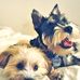 Profile Picture of Lid Achwi (Chewy) (@Lid-Achwi) on Facebook
