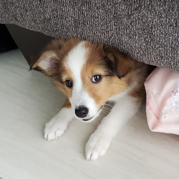 Sarah Musil - Poshmark Profile Picture of Sarah Musil (@uwwhawk16) on Poshmark