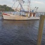 Profile Picture of David Bosarge (@bosargedavid) on Instagram