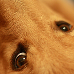 Profile Picture of runxtc (@runxtc) on Flickr