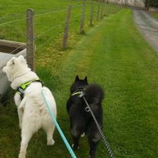 Profile Picture of James Molloy (@irish_jimmy89) on Twitter